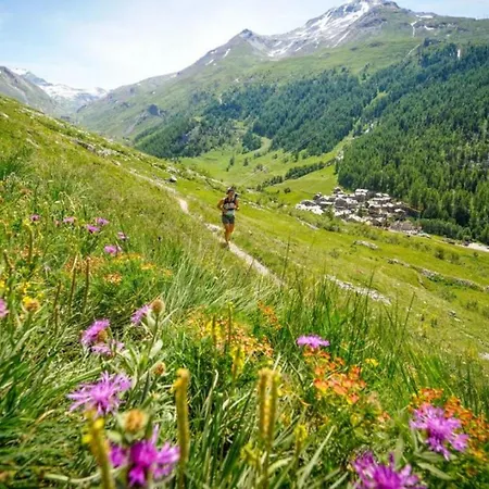 Lejlighed Chamois Blanc 6 - Haven With Great Views